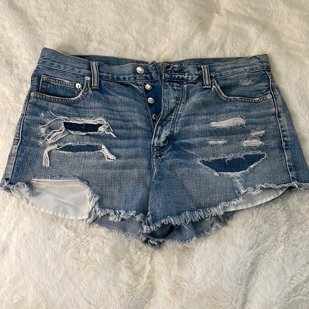 Vintage Hi-Rise Festival Denim Distressed Shorts